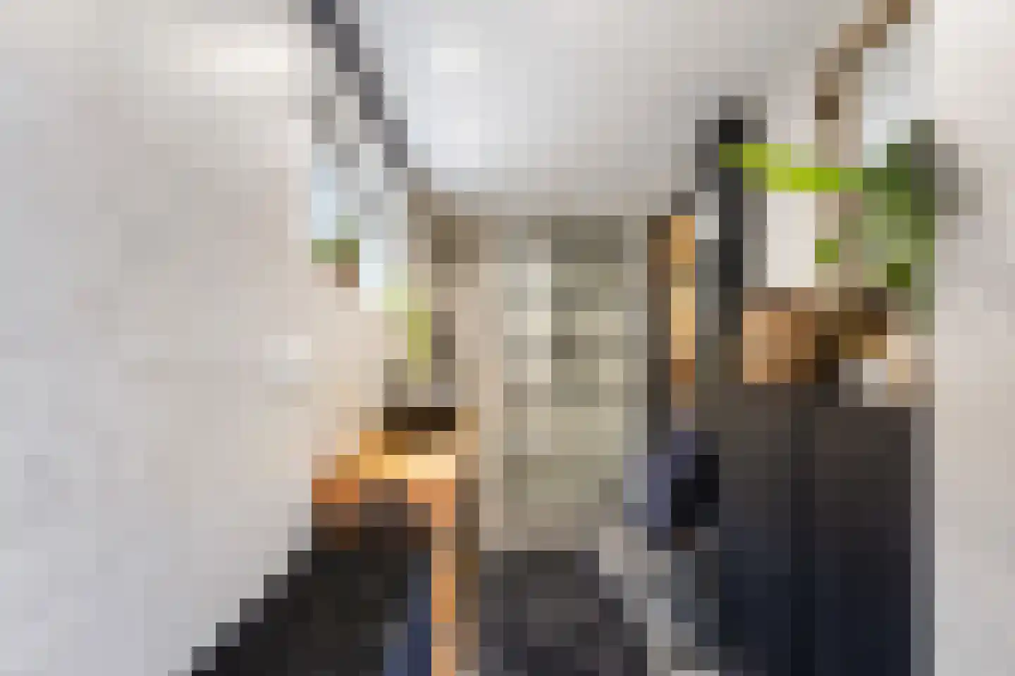 Steinstraat 23 Klundert thumbnail 5