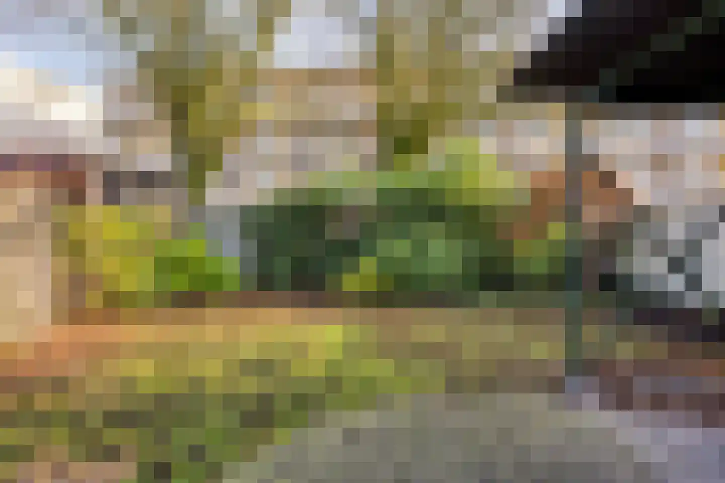 Steinstraat 23 Vaassen thumbnail 18
