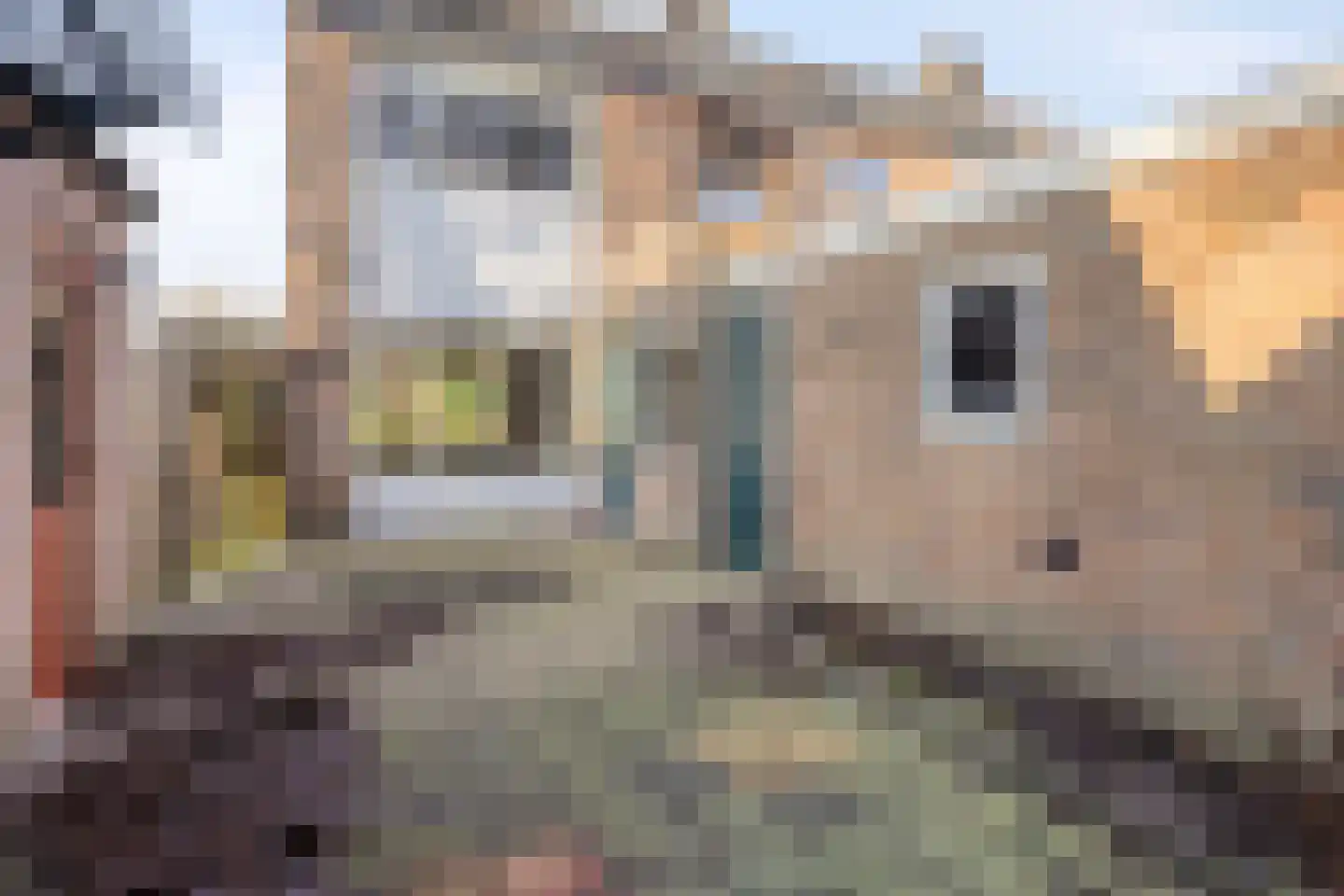 Steinstraat 23 Vaassen thumbnail 19
