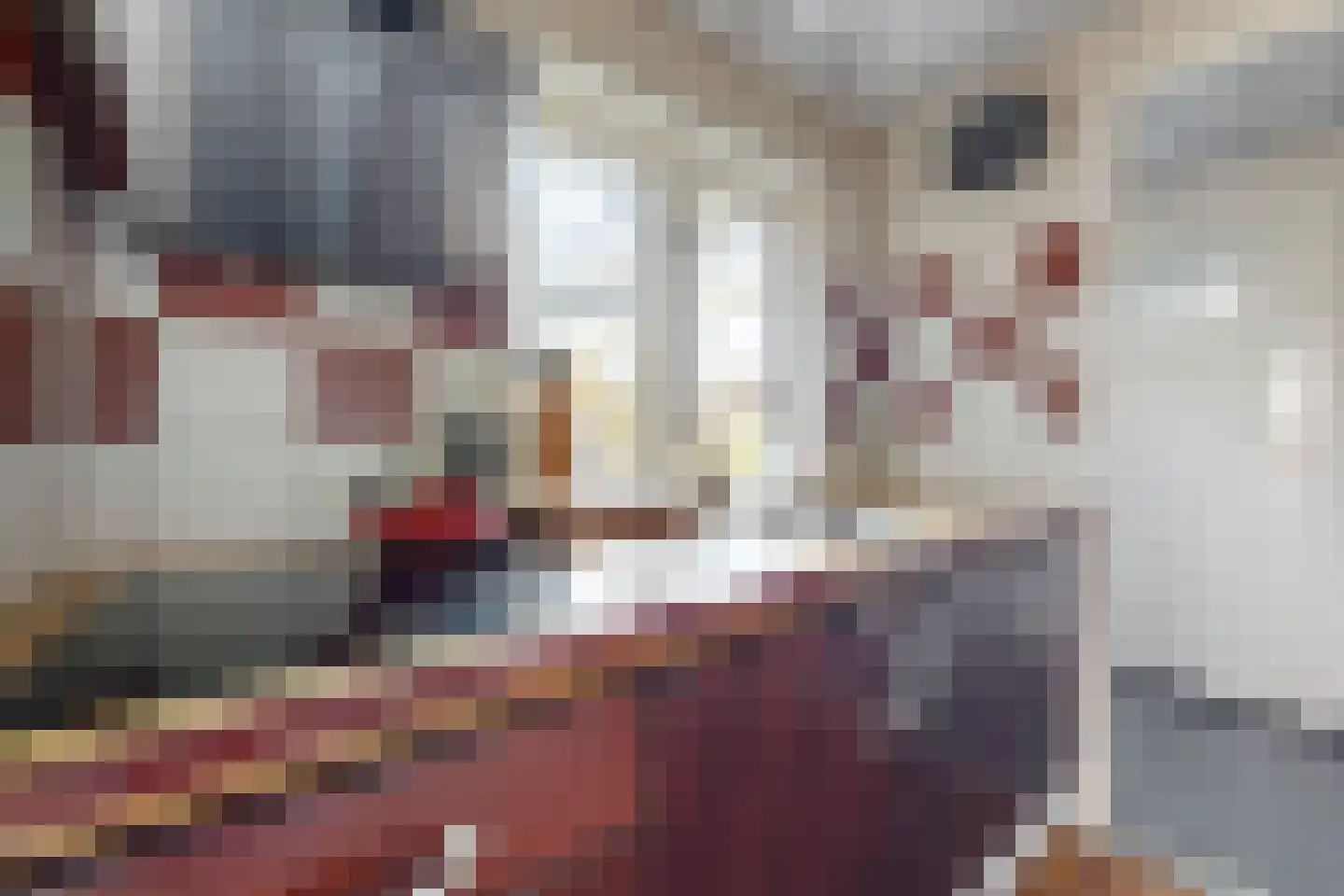 Steinstraat 26 Klundert thumbnail 24