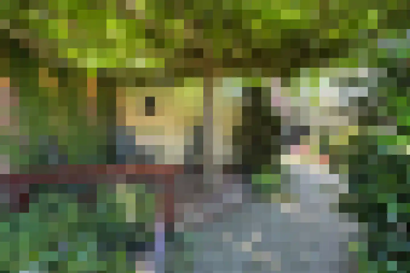 Steinstraat 26 Klundert thumbnail 44