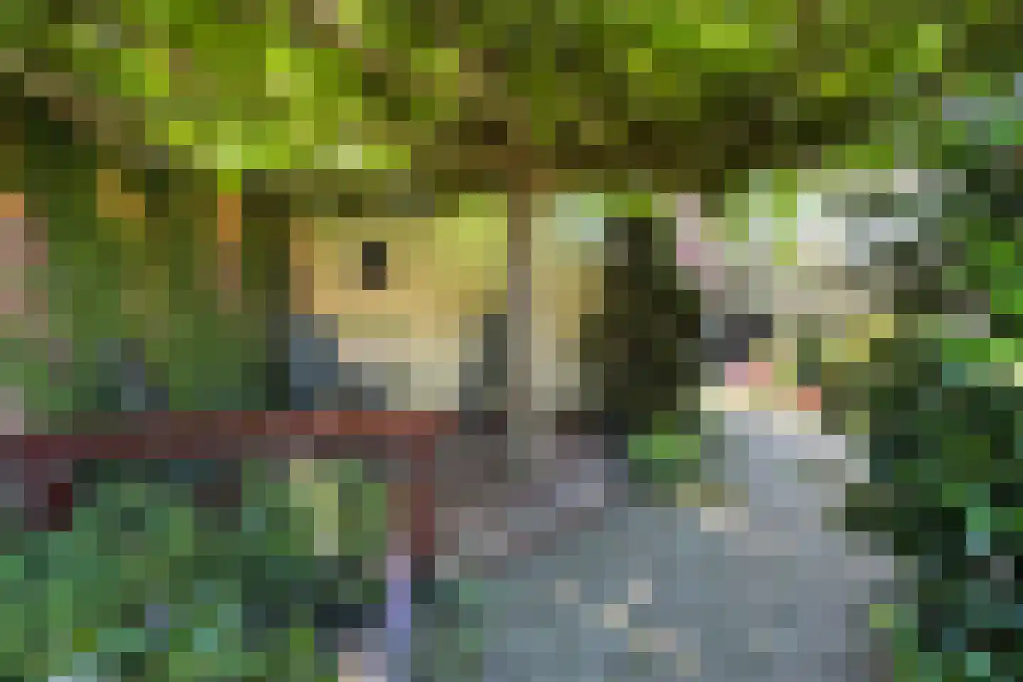 Steinstraat 26 Klundert thumbnail 5