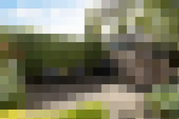 Steinstraat 35 Vaassen thumbnail 10