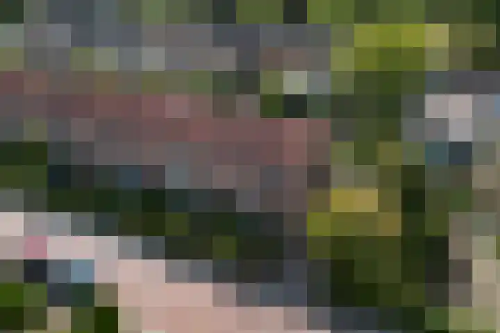 Steinstraat 35 Vaassen thumbnail 12