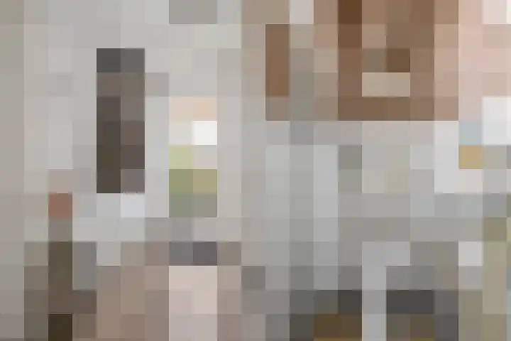 Steinstraat 35 Vaassen thumbnail 14