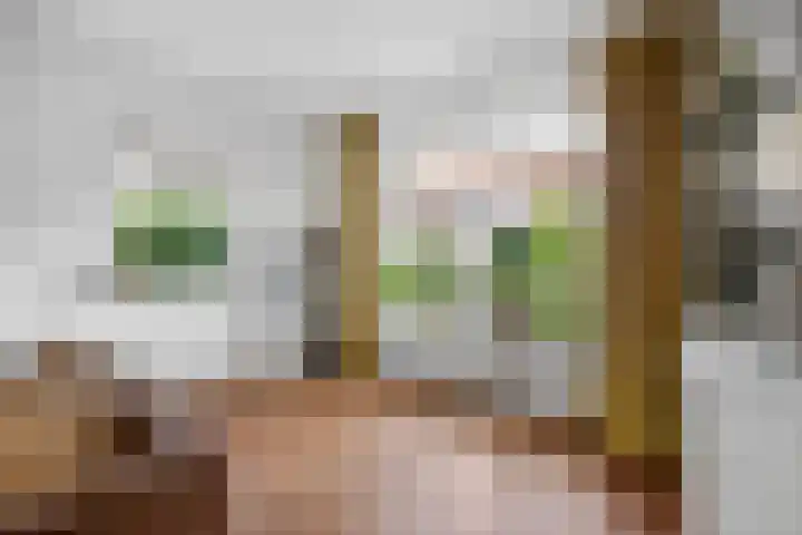 Steinstraat 35 Vaassen thumbnail 16