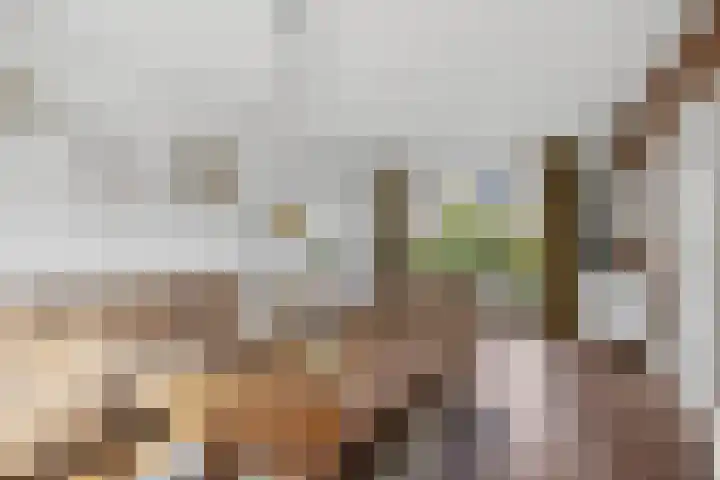 Steinstraat 35 Vaassen thumbnail 17