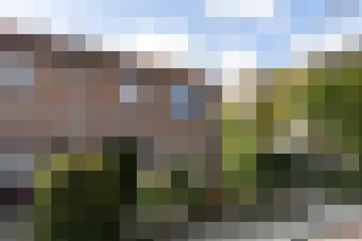 Steinstraat 35 Vaassen thumbnail 4