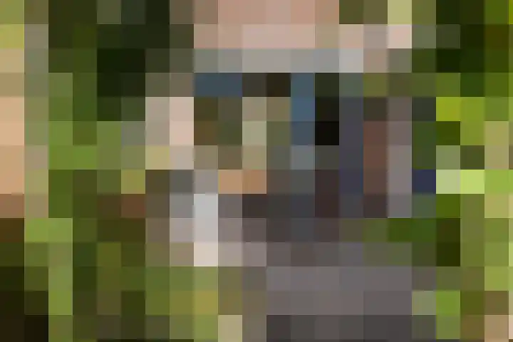Steinstraat 35 Vaassen thumbnail 5