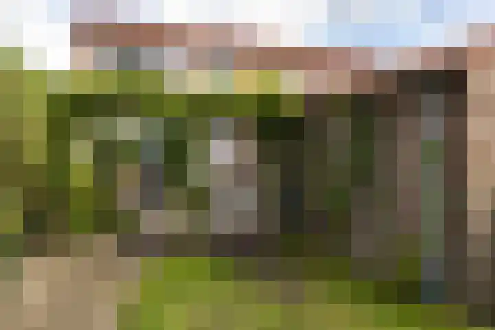 Steinstraat 35 Vaassen thumbnail 6