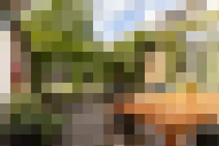 Steinstraat 35 Vaassen thumbnail 7