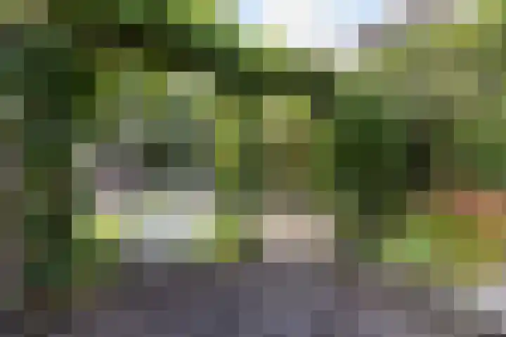 Steinstraat 35 Vaassen thumbnail 8