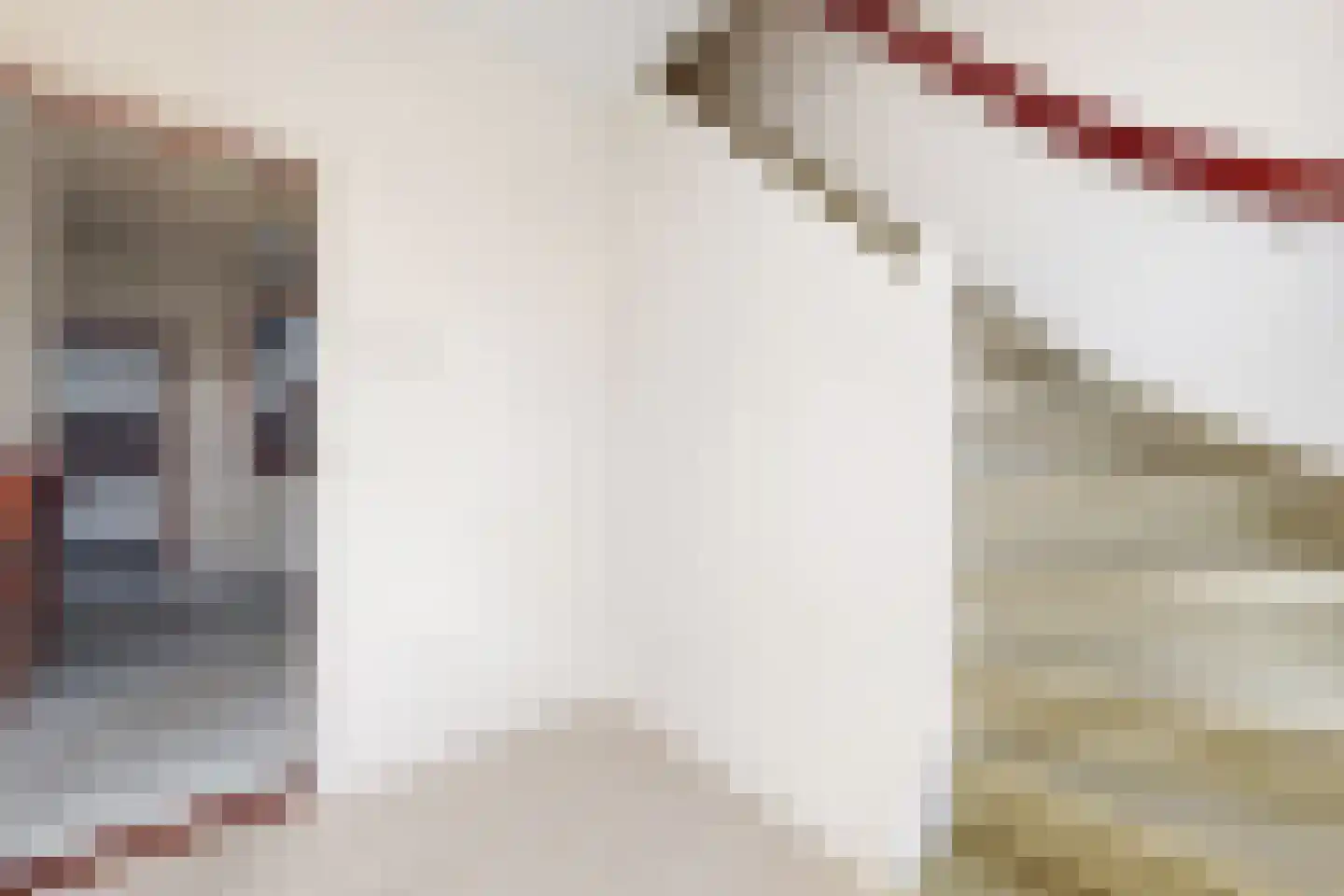 Steinstraat 42 Klundert thumbnail 8