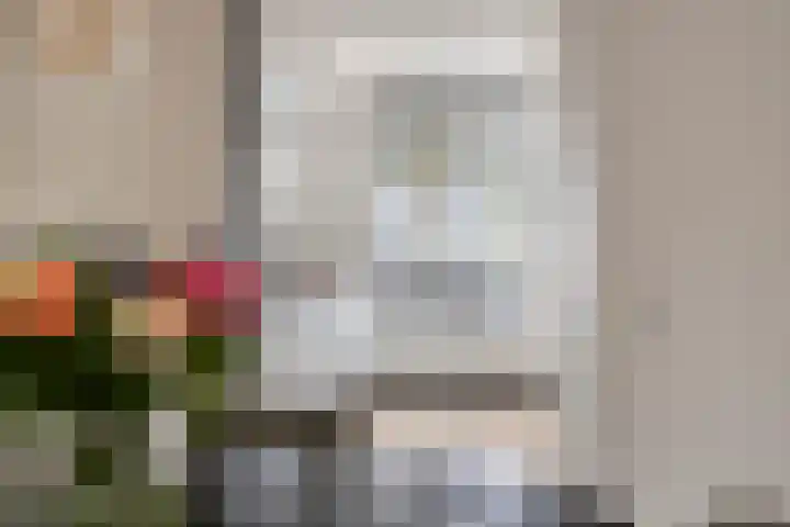 Steintjeskreek 21 Amersfoort thumbnail 11