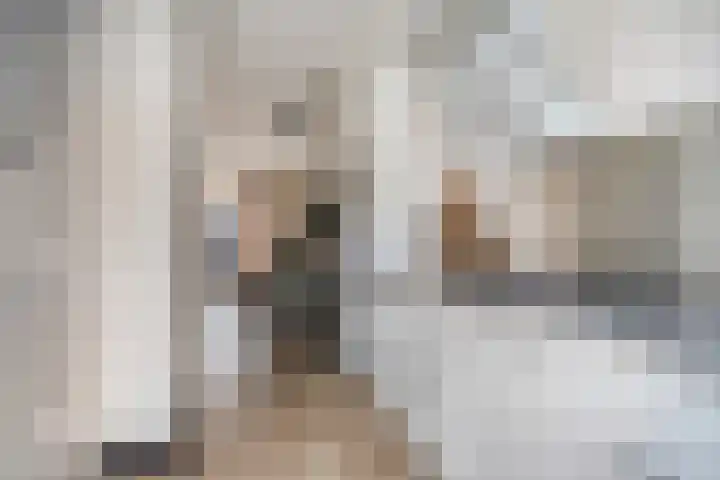 Steintjeskreek 21 Amersfoort thumbnail 13