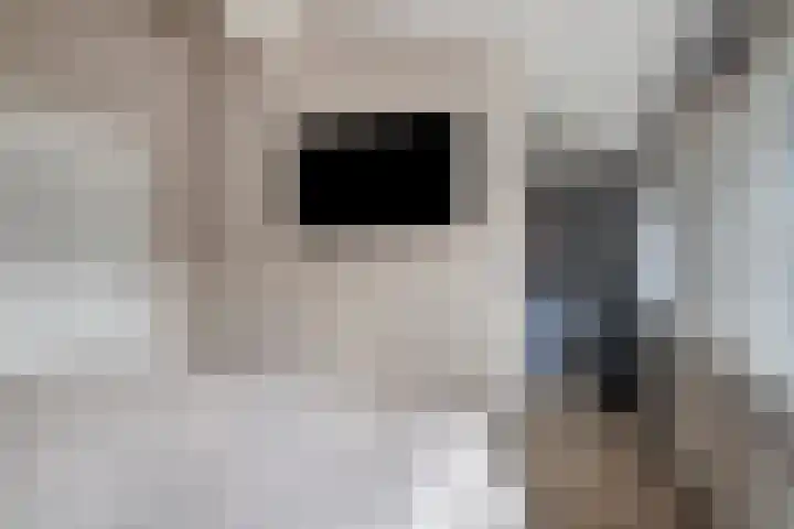 Steintjeskreek 21 Amersfoort thumbnail 16