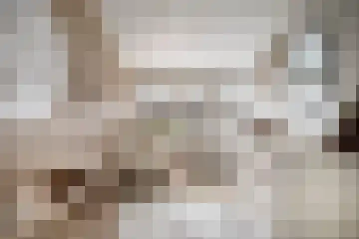 Steintjeskreek 21 Amersfoort thumbnail 20