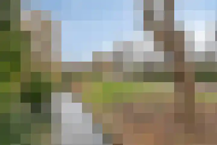 Steintjeskreek 21 Amersfoort thumbnail 28