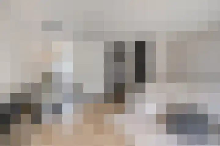 Steintjeskreek 21 Amersfoort thumbnail 9