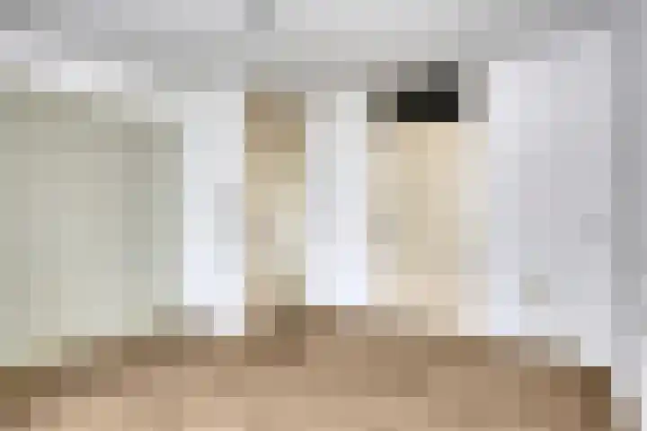 Steintjeskreek 3 a Sint Philipsland thumbnail 11