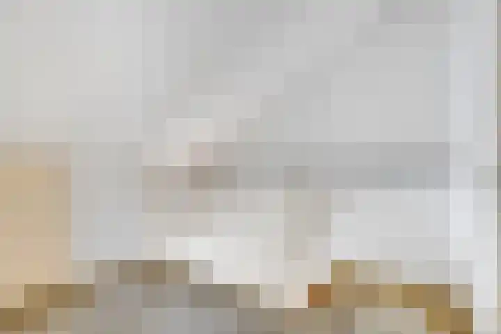 Steintjeskreek 3 a Sint Philipsland thumbnail 14