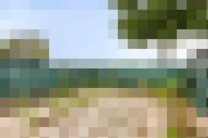 Steintjeskreek 3 a Sint Philipsland thumbnail 18