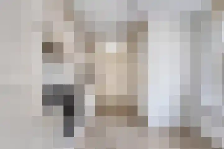 Steintjeskreek 3 a Sint Philipsland thumbnail 9