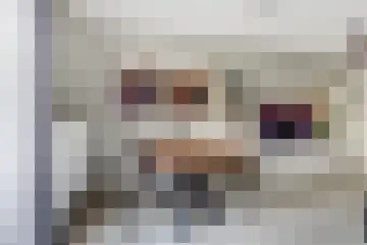 Steintjeskreek 5 Amersfoort thumbnail 17