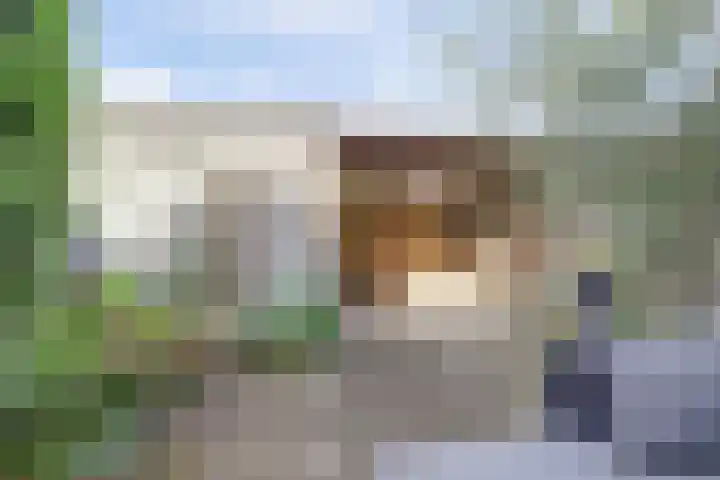 Steintjeskreek 5 Amersfoort thumbnail 23