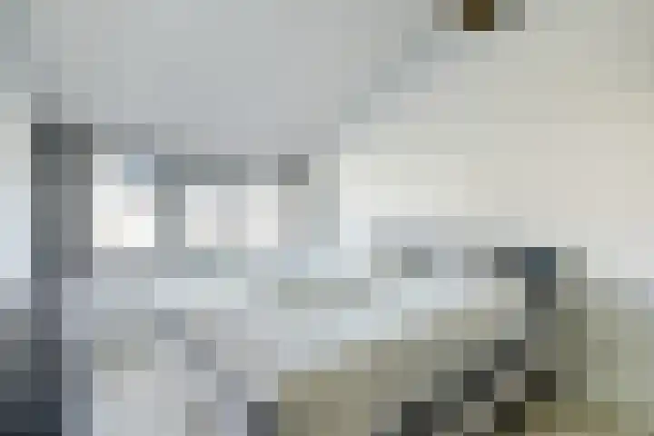 Steintjeskreek 5 Amersfoort thumbnail 29