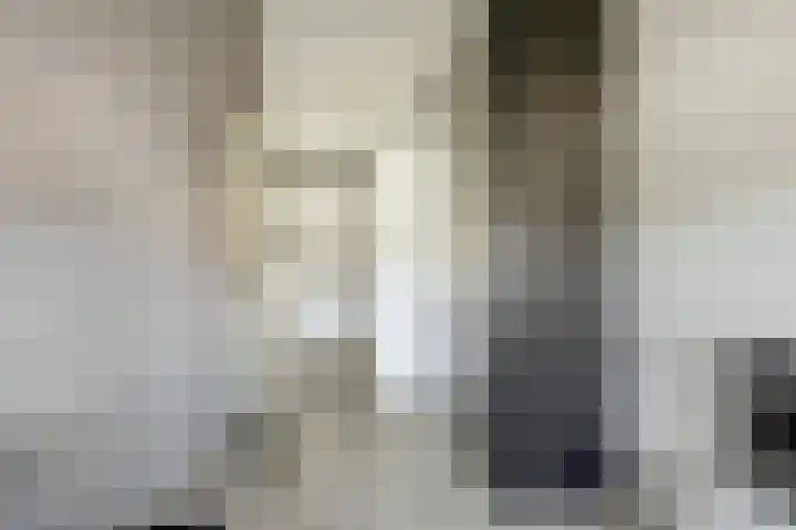 Steintjeskreek 5 Amersfoort thumbnail 36