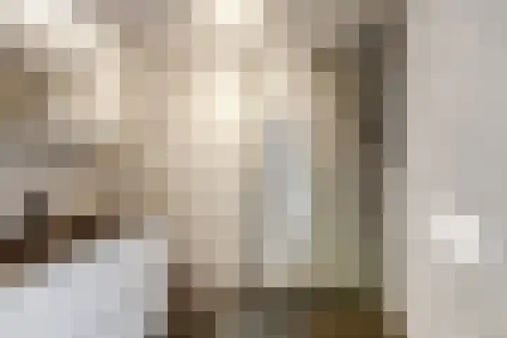 Steintjeskreek 5 Amersfoort thumbnail 5