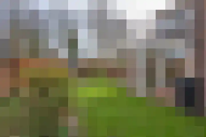 Steinwegstraat 19 Delden thumbnail 46