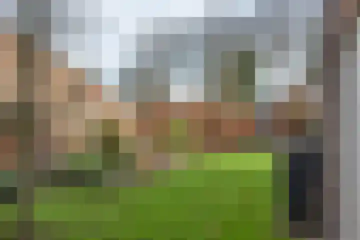 Steinwegstraat 19 Delden thumbnail 47