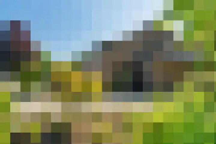 Steinwegstraat 2 Delden thumbnail 10