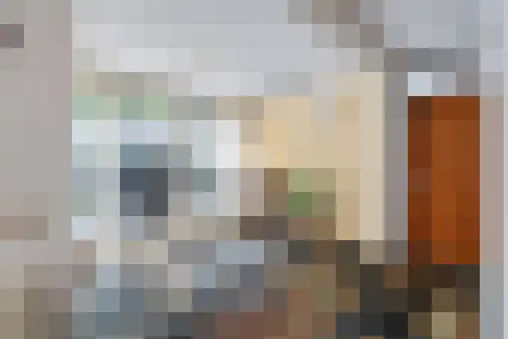 Steinwegstraat 2 Delden thumbnail 17