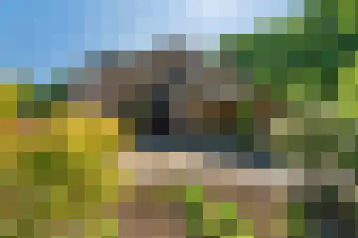 Steinwegstraat 2 Delden thumbnail 45