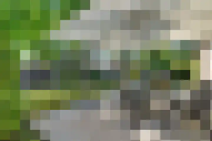 Steinwegstraat 2 Delden thumbnail 5