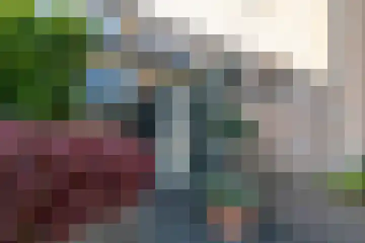 Steinwegstraat 4 Delden thumbnail 10