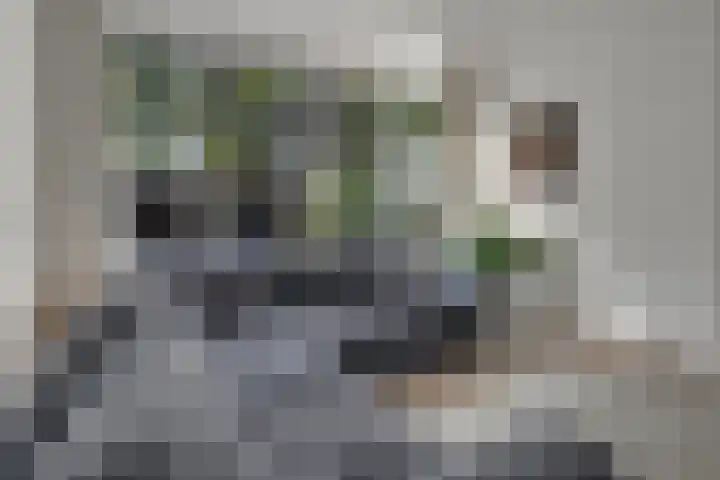 Steinwegstraat 4 Delden thumbnail 25