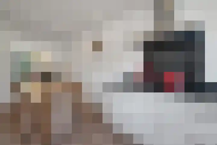 Steinwegstraat 4 Delden thumbnail 31