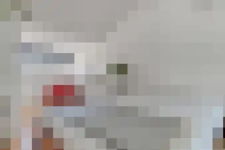 Steinwegstraat 4 Delden thumbnail 38