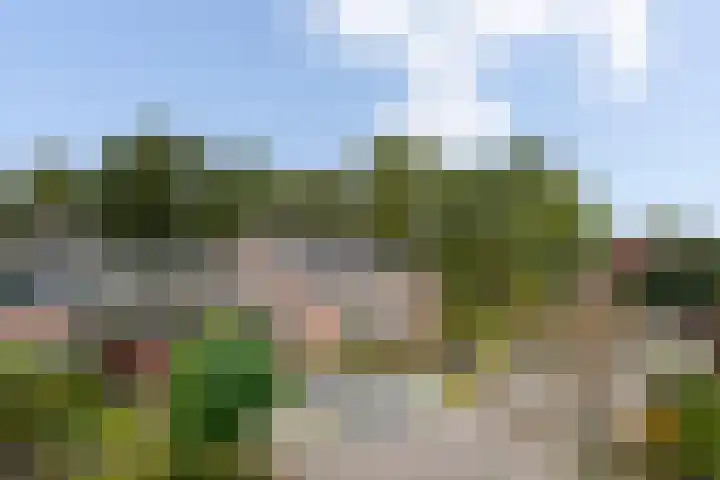 Steinwegstraat 4 Delden thumbnail 47