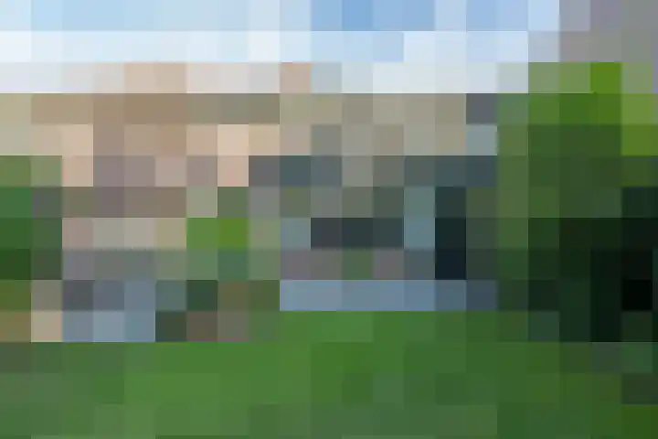 Steinwegstraat 4 Delden thumbnail 5