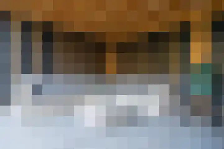 Steinwegstraat 4 Delden thumbnail 62