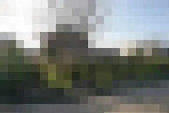 Team foto van STEK Jouw makelaar!