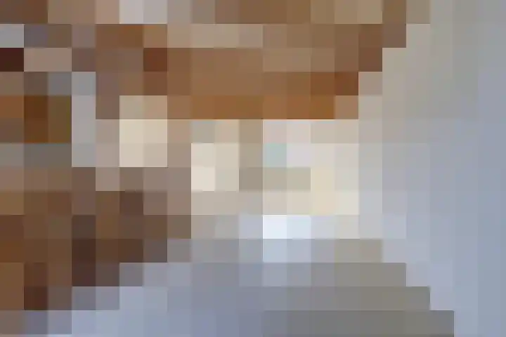 Stekelbaars 11 Leusden thumbnail 12