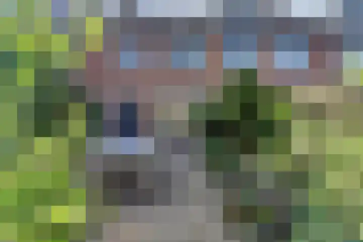 Stekelbaars 11 Leusden thumbnail 30