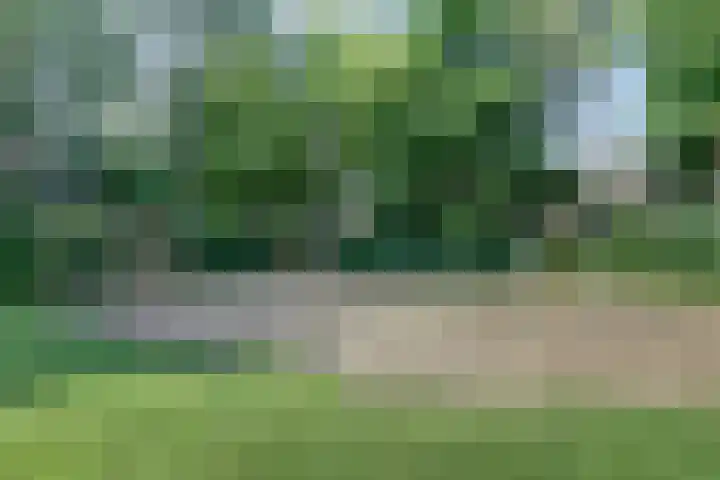 Stekelbaars 11 Leusden thumbnail 33