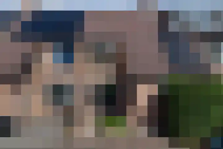Stekelbaars 11 Leusden thumbnail 34
